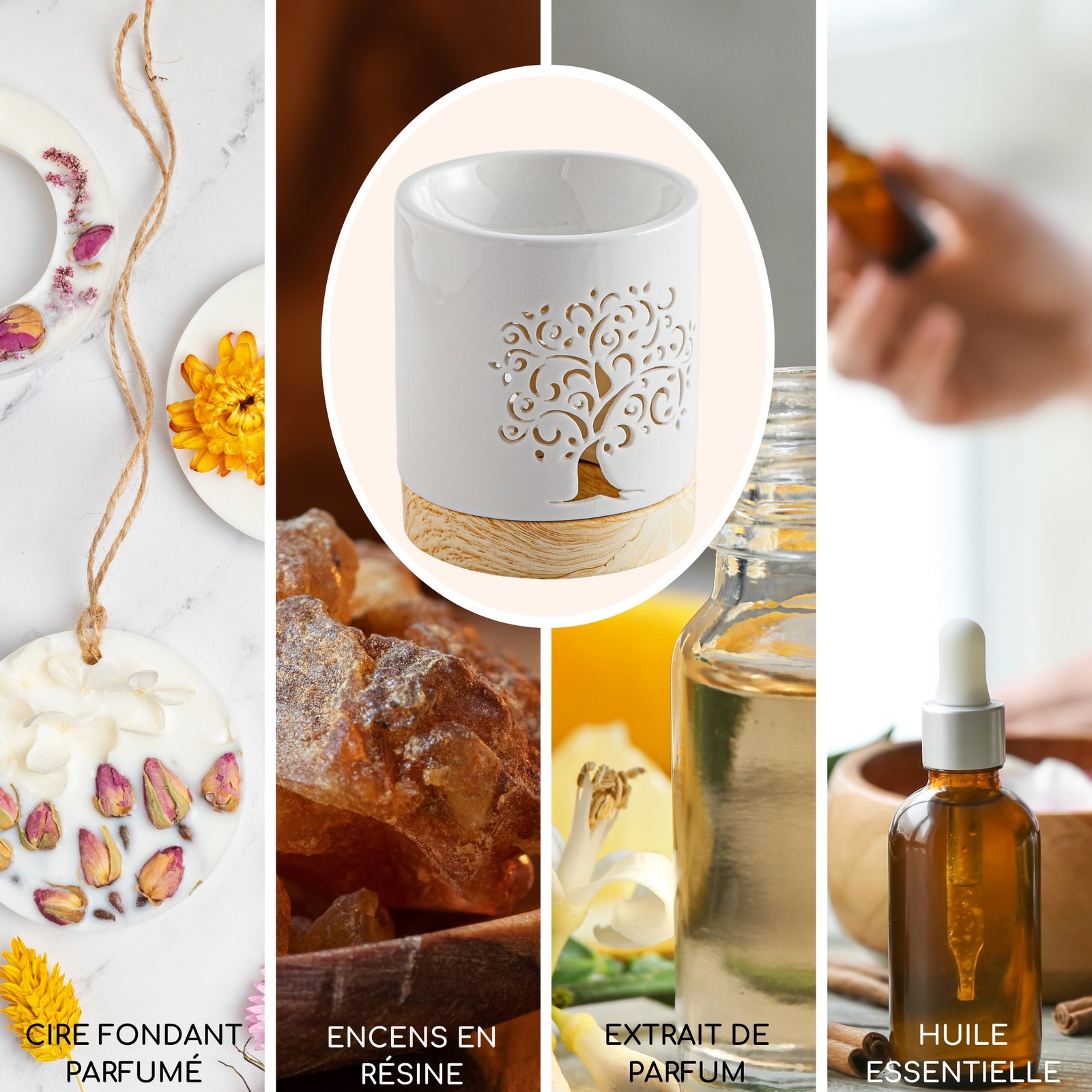 brule parfum arbre de vie