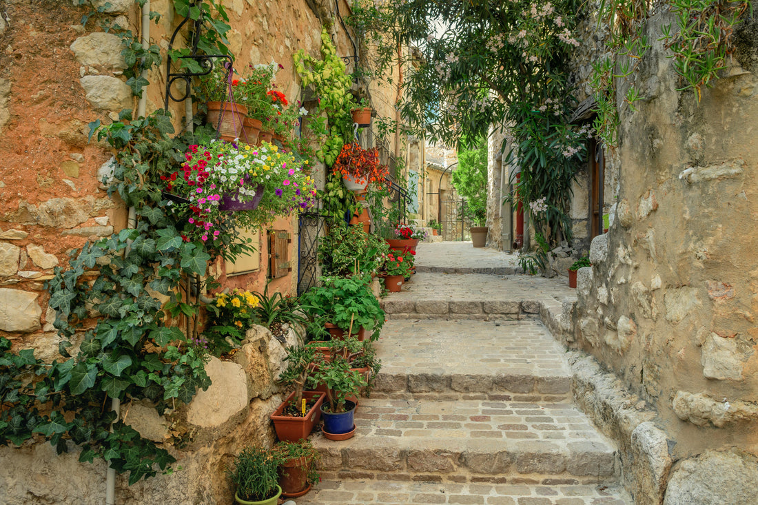 Grasse capitale du parfum pour Maison Mousse