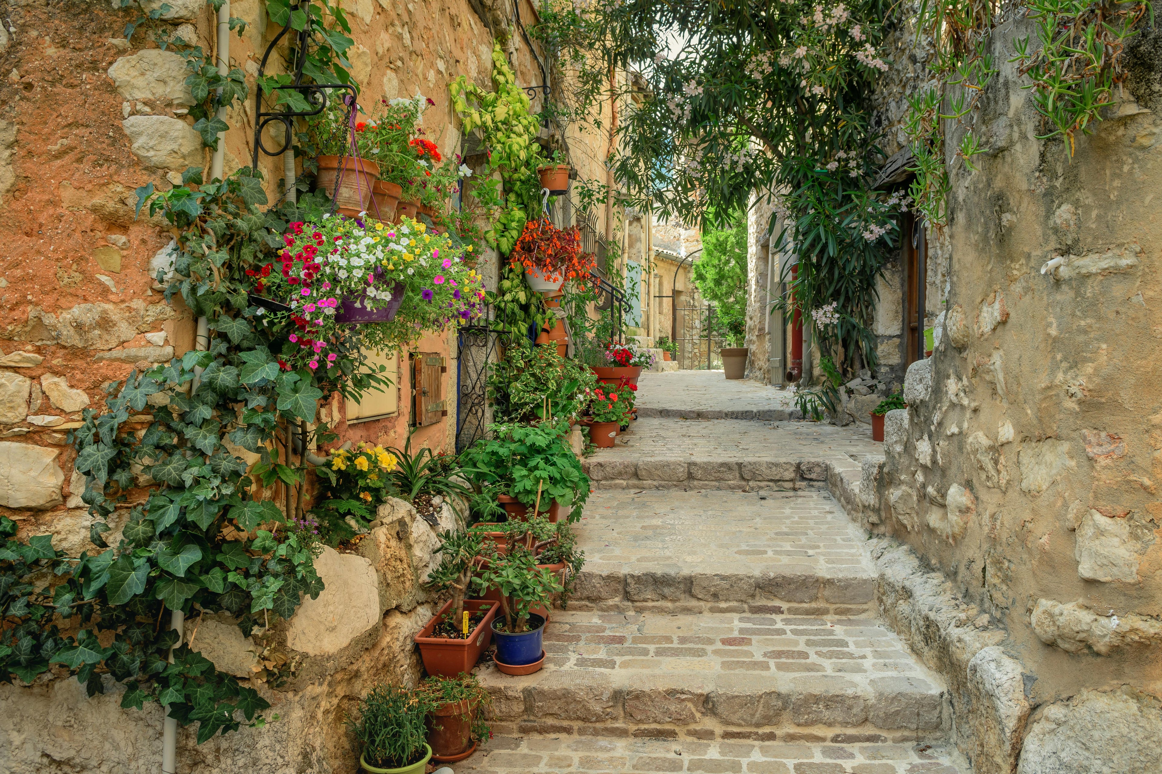 Grasse capitale du parfum pour Maison Mousse
