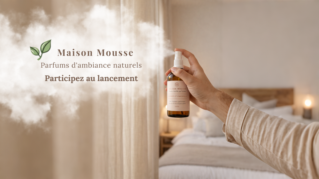 Maison Mousse arrive sur Ulule — et j'ai besoin de vous