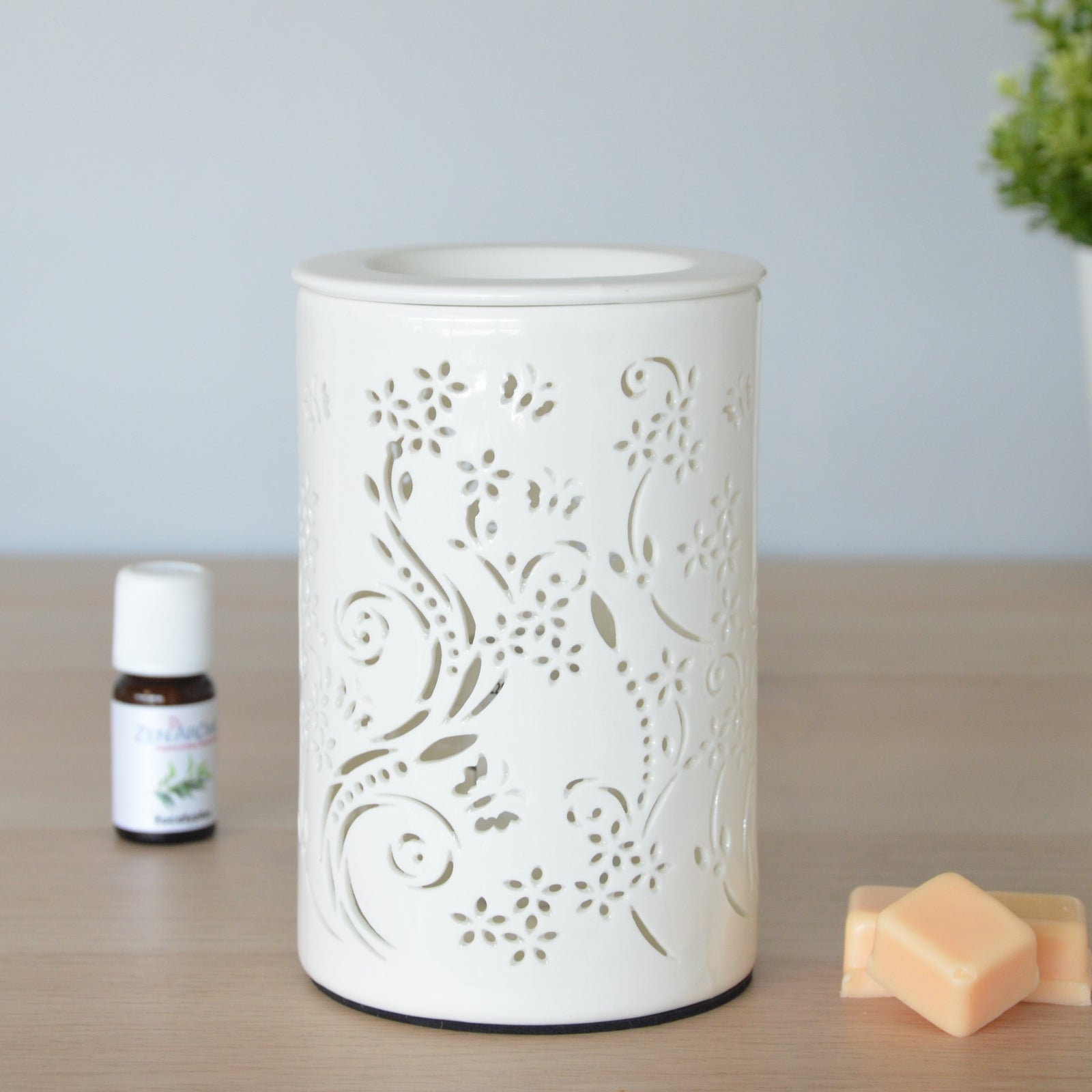 Diffuseur par Chaleur Douce CALORYA N° 1