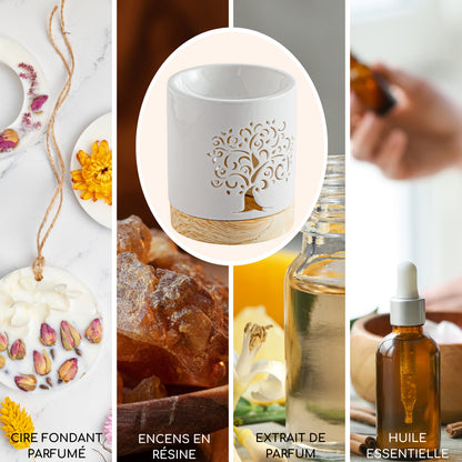 brule parfum arbre de vie