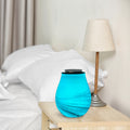 Diffuseur par Chaleur Douce CALORYA N° 11
