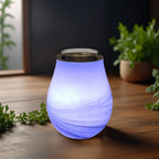 Diffuseur par Chaleur Douce CALORYA N° 11