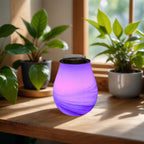 Diffuseur par Chaleur Douce CALORYA N° 11